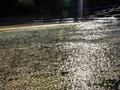 羊小咩京优福卡能出吗？出财小神解析10%概率的关键密码