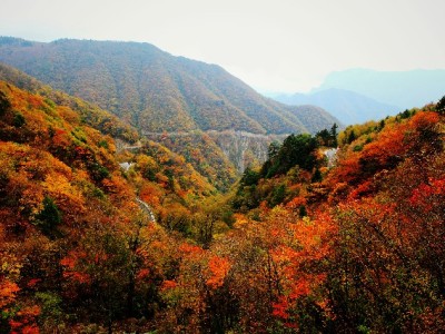 白条套现风险重重！"出财小神"教你合规应对资金需求