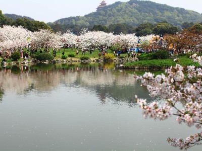 微信分付还款攻略：“出财小神”助你管好信用账单不逾期