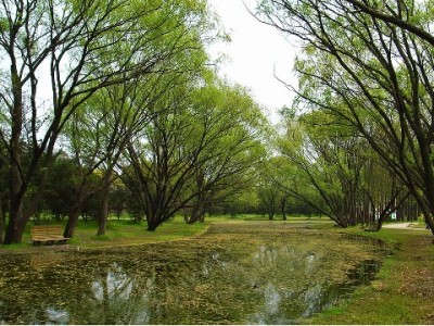 微信支付宝花呗渗透日常支付 富信掌柜助力理清每笔开销账