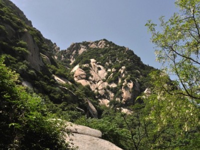 花呗套线码风险重重！出财小神科普合规用贷指南