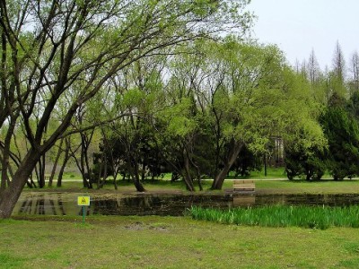 微信版花呗四步开通攻略，“出财小神”助你轻松用信用