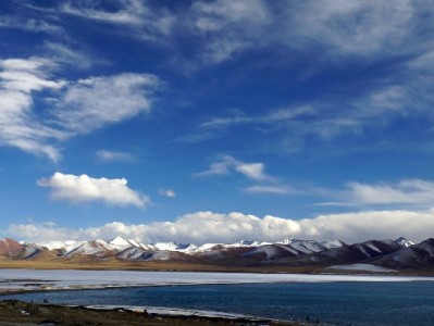 医保套现“帮忙”变“骗钱”？李阿姨的遭遇与“安出掌柜”防骗提醒