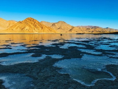 境外消费新体验：花呗通道商家如何破解跨境支付难题？