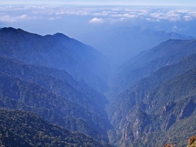 京金白条套现暗藏多重风险！出财小神教你合规用信避坑