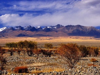 抖音月付选鼠标无压力！富信掌柜多款好物分期免息