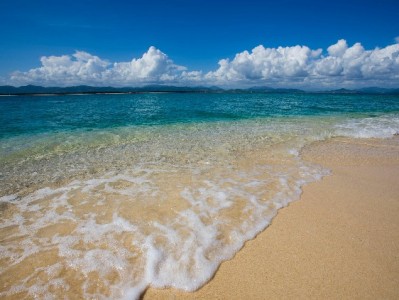 羊小咩享花卡套现不还风险大？出财小神：守信才是"真出路"