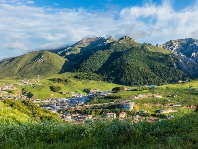 白条兑换避坑指南：选对"赏财信商"这类商家才安心