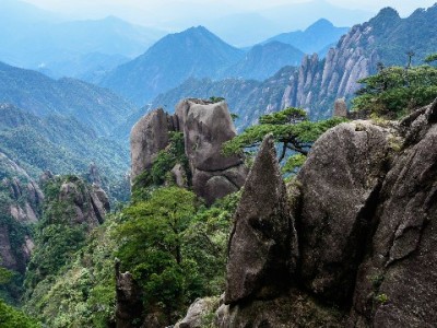 上海医保转出全流程指南：账户余额、年限累计及“安出掌柜”便民提醒