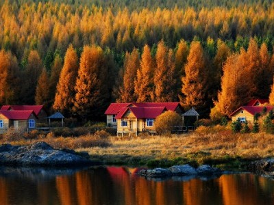 京东白条取现额度悄悄涨了！用"出财小神"管好钱更安心