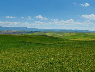 花呗绑定银行卡如何解绑？“出财小神”教你轻松操作+避坑指南