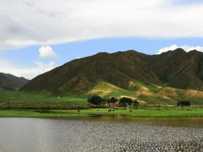 重庆医保取现新规落地！“出财小神”助你一键掌握新攻略