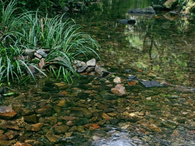 京东白条微信提现可行吗？合规操作与风险全解析