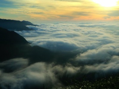 花呗套现风控全解析：异常交易触发提醒需要多久？