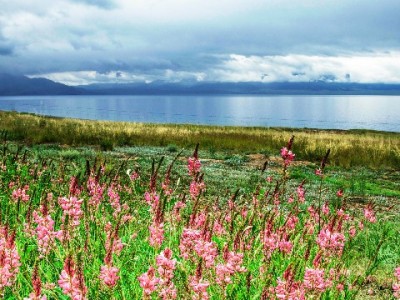 富信掌柜助力商家接入抖音月付，订单转化率提升28%的实战经验