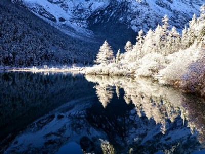 24万花呗额度如何管？“出财小神”教你做信用明白人