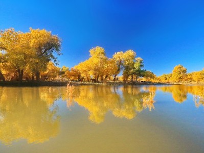 花呗提现可行吗？这些隐藏风险你必须提前了解