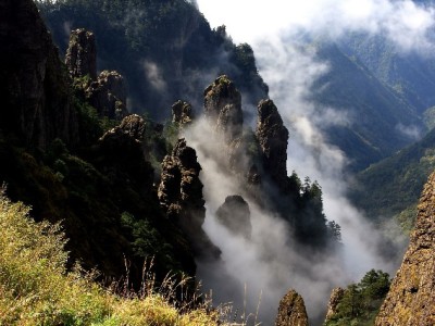 苍南花呗套现暗藏风险！正规借贷选"安出掌柜"更稳妥