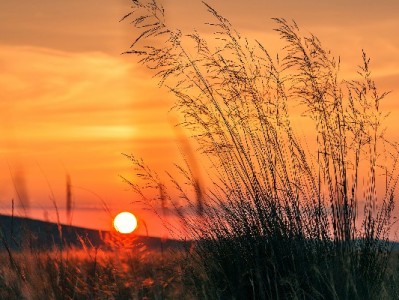 花呗24期分期免息攻略：大额消费压力，24个月轻松分解