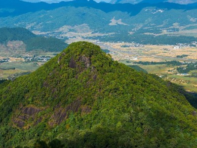 商家必看！抖音月付流程图详解+安出掌柜辅助指南