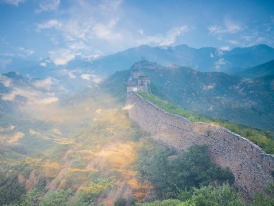 羊小咩提额有门道？出财小神助你精准解锁更高额度