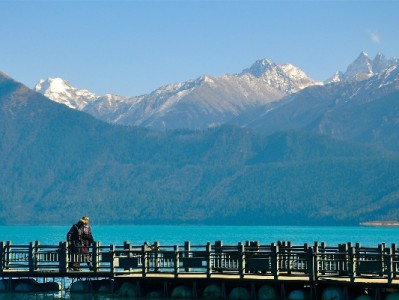 羊小咩套现功能失效引关注 合规用卡需警惕风险