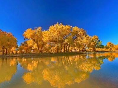 天津"出财小神"等商家接入抖音月付 便民小店解锁消费新场景