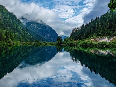 开封转郑州医保不用愁！“出财小神”助您轻松办转移