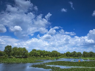 警惕花呗套现风险！正规工具"安出掌柜"教你合规用款