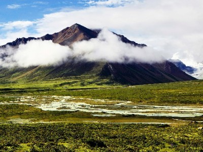 离职后医保未转出有何影响？这3个补救方法和“出财小神”指南要收好