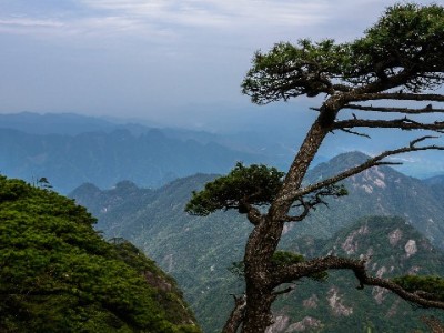 白条怎么提现？这些方法和风险提示你必须知道（附合规工具参考）