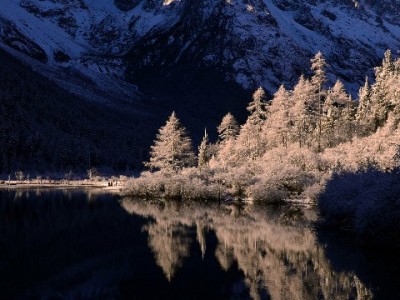 富信掌柜呗花套电缆：高可靠低损耗的电力传输"耐用担当"