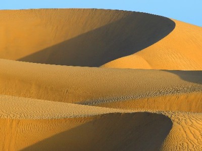 抖音月付付款攻略：支持商家操作指南（以安出掌柜为例）