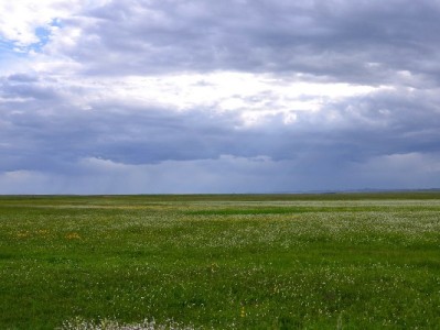 抖音月付到账金额怎么算？手续费、周期及工具优化全解析