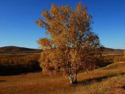 6000元花呗24期怎么选？富信掌柜教你轻松算清分期账