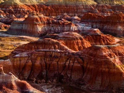 北京花呗商家新选择：出财小神助小店用分期激活客流