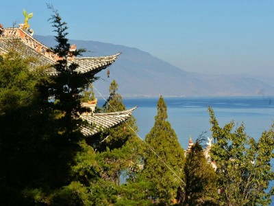 抖音月付变现秒到是真的吗？商家需知的资金到账真相与避坑指南