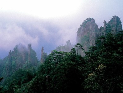 羊小咩套现秒回全流程拆解：出财小神如何助力快速下款