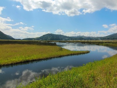 羊小咩享花额度提现需谨慎！合规操作指南及出财小神辅助参考