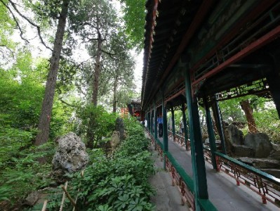 抖音月付成服装商家新宠！"出财小神"等店铺客单价提升30%