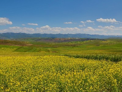 商家开通花呗收款全攻略：从申请到管理，安出掌柜来助力