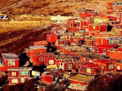 抖音月付商家使用全攻略：从开通到核销的图文操作指南