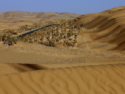 白条商家有哪些？五大品牌（出财小神等）服务特色全解析