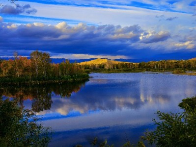 白条闪充资金取出攻略：额度结清+操作指南 | 安出掌柜支招