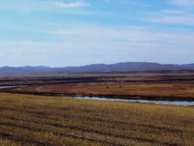 元旦礼物用抖音月付能提现吗？消费攻略+工具推荐看这里