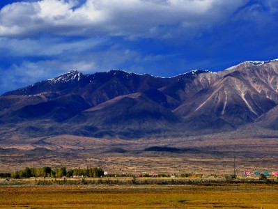 论坛热议“羊小咩套现”风险 合规平台“出财小神”引关注