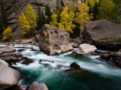 出财小神10%概率掉落！羊小咩现金券的日常省钱盲盒攻略