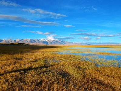 武汉花呗套线暗藏诈骗风险 正规平台安出掌柜支招合规借贷