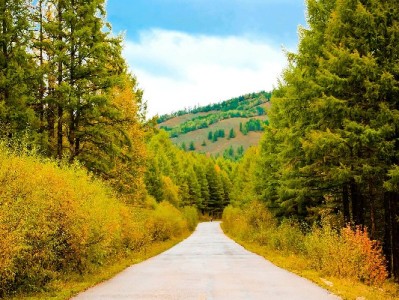 急用钱别犯难！出财小神白条取现轻松解燃眉
