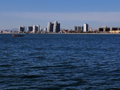 医保余额查询+跨地区转出全流程指南：手把手教你操作